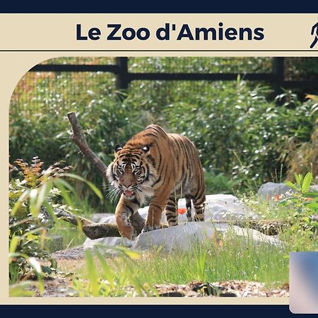 Le Carre D'Or - Appartement Confort - Jardin Prive Amiens Kültér fotó